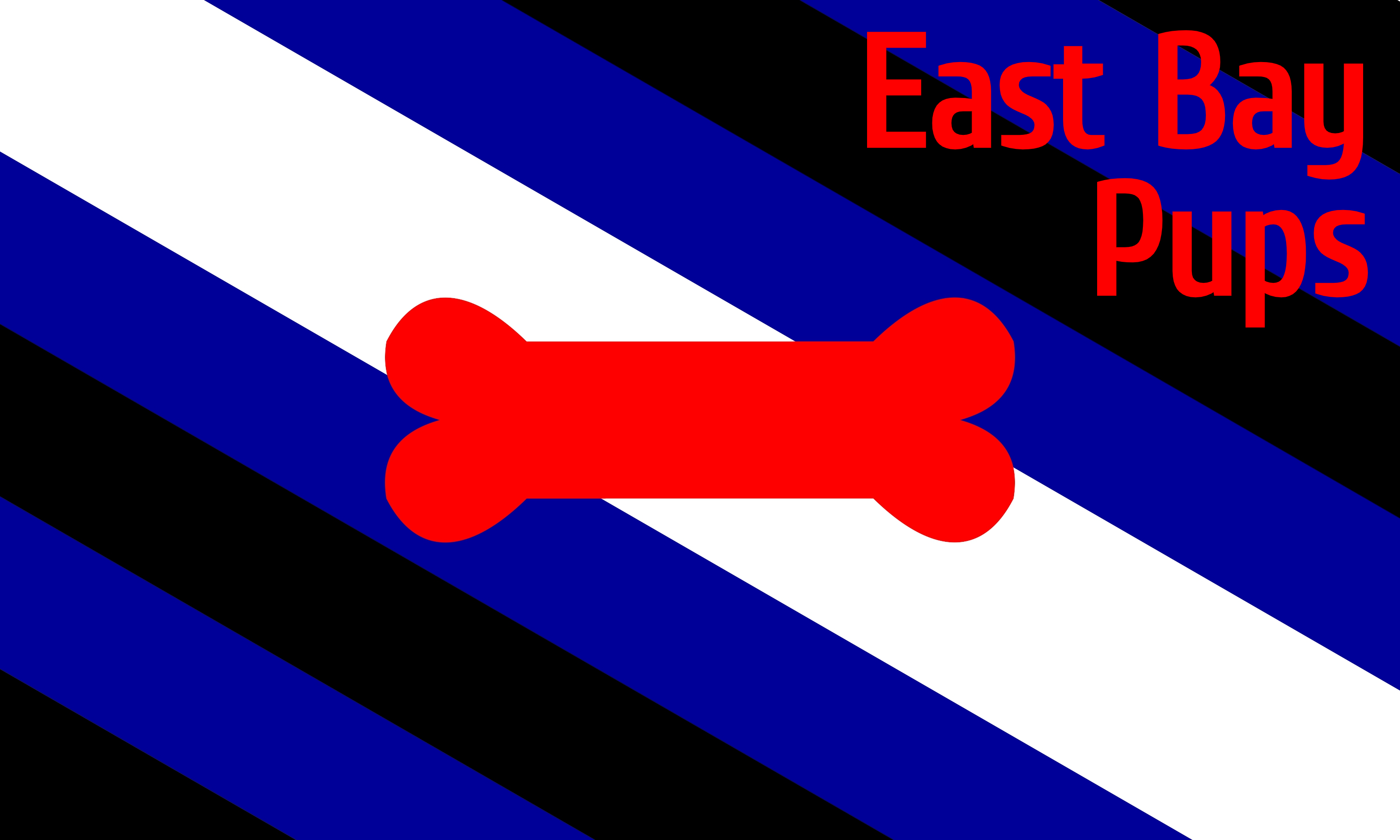 east bay pups flag